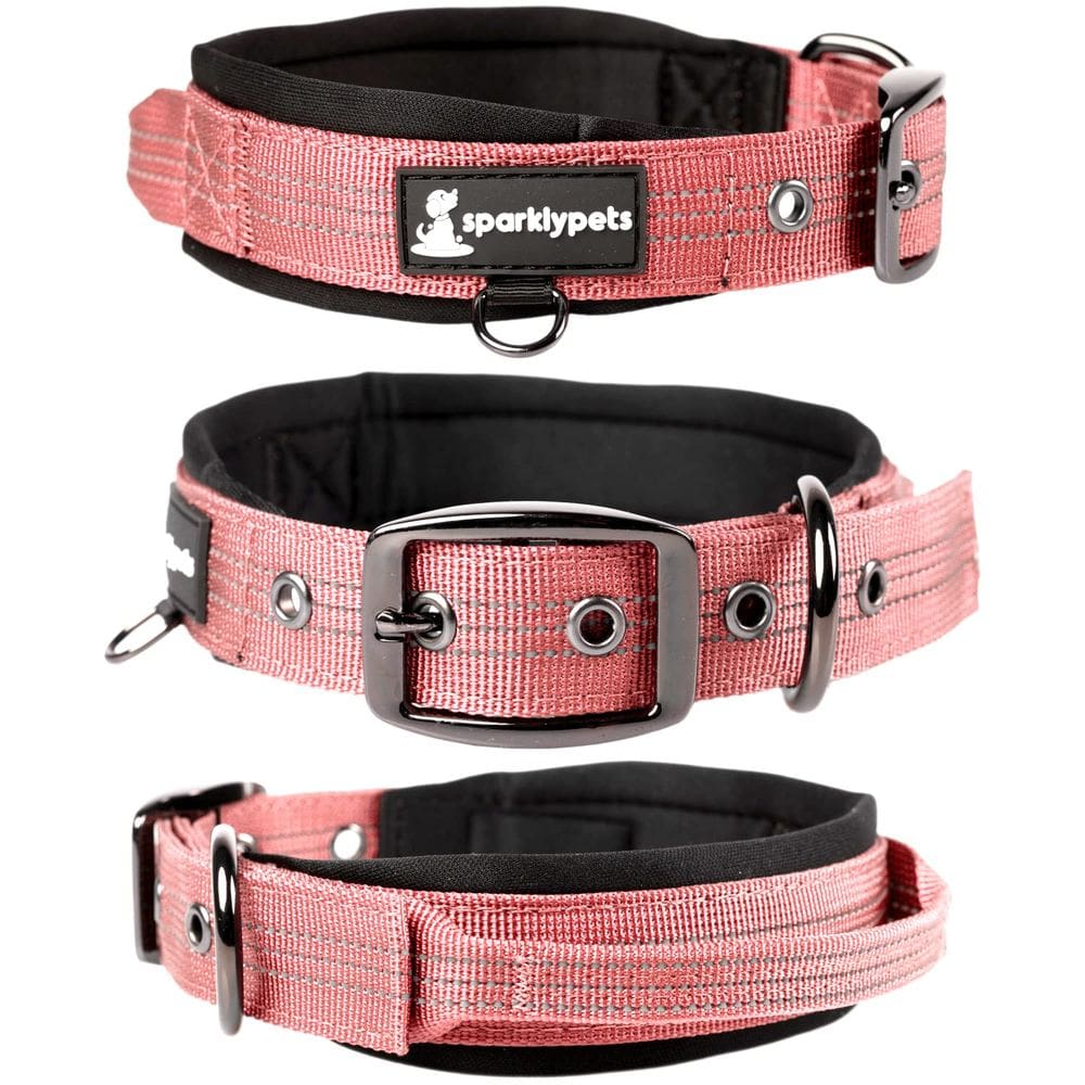 Coleira para cães SparklyPets Heavy Duty com alça para médio/grande