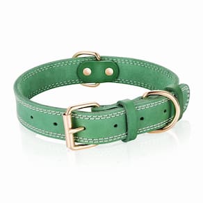 Coleira para cães DAIHAQIKO Leather Heavy Duty Larga para Média e Média