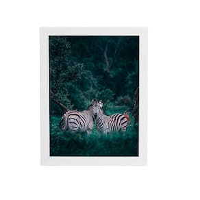 Zebras Floresta Natureza Foto Quadro Moldura Branca 60X40Cm