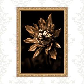 Quadro Moldura Dourada Flor Bronze E Preto 45X34Cm