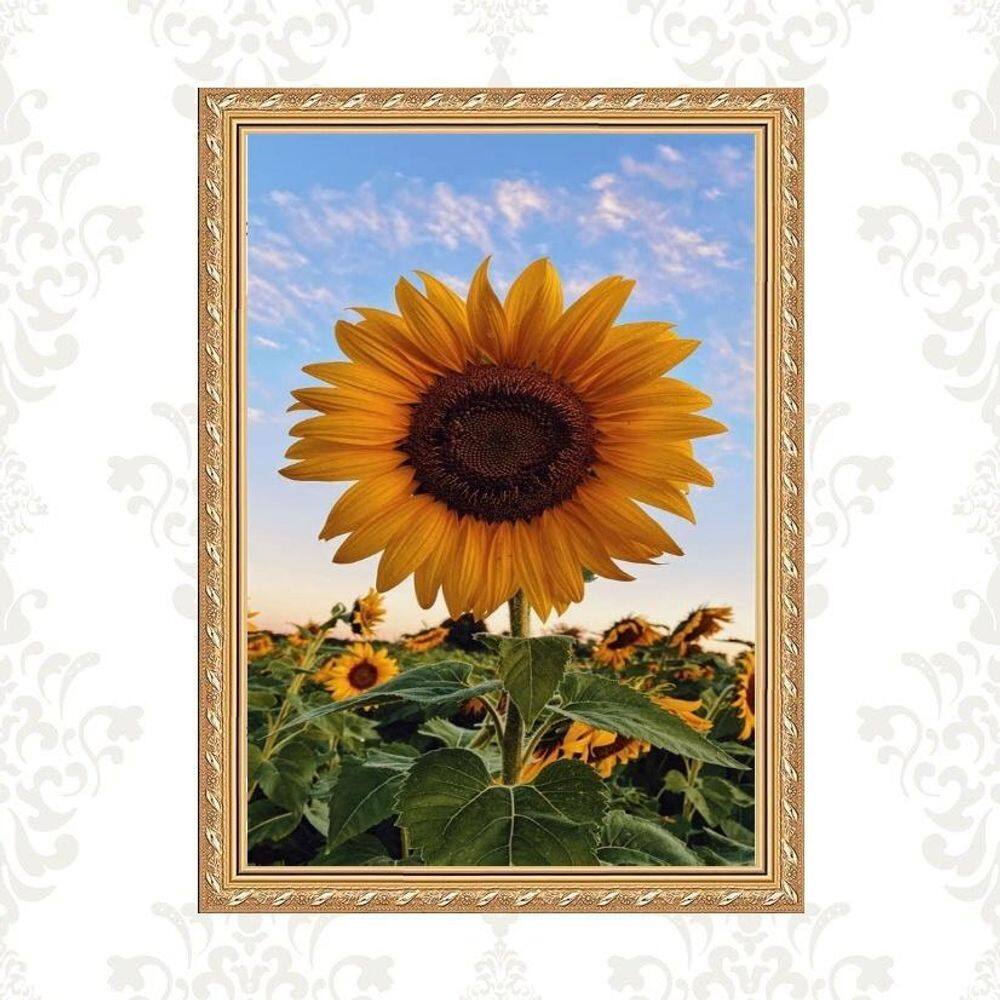 Quadro Moldura Dourada Girassol 24X18Cm
