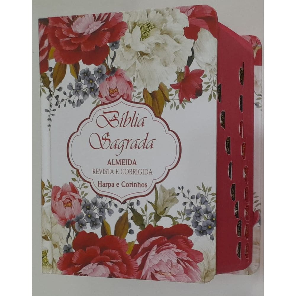 Bíblia Pequena 15cm X 12cm Assembleia De Deus Pentecostal Batista Com Promessas Palavra De Jesus Em Vermelho Com Índice Para Bolsa Completa