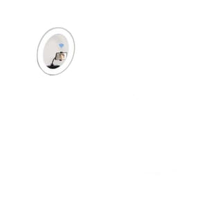 Ring Light Led 30W Grande 30Cm 12 Pol + Tripé + Suporte Cel