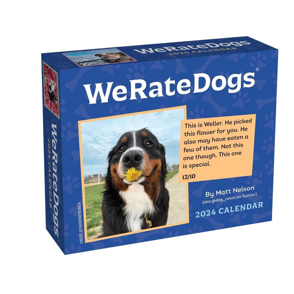 Calendário de mesa | WeRatedogs | Calendário do dia-a-dia de 2024