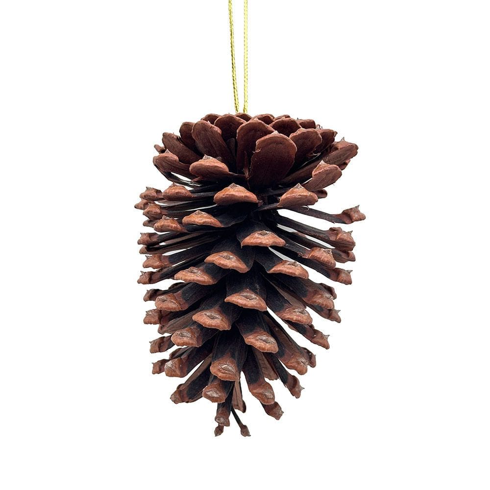 Pinha Natural 10cm CV244441 Cazza
