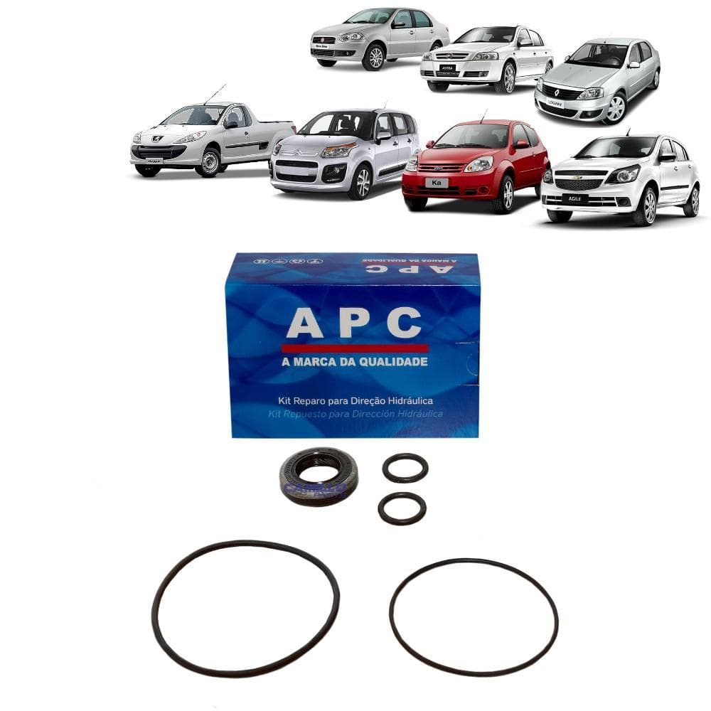 Reparo Da Bomba Hidráulica DHB Citroen Fiat Ford GM Peugeot