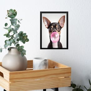 Quadro Pinscher Bubble Gum 24X18Cm