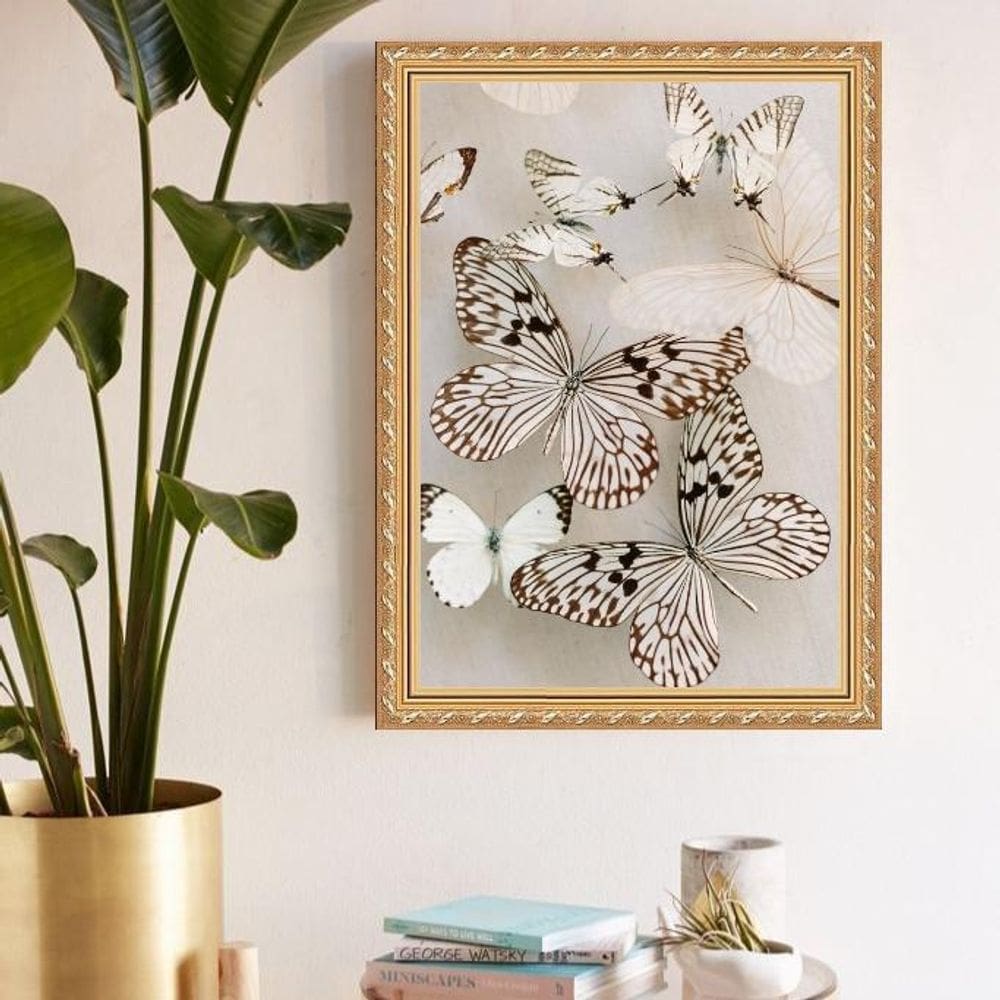 Quadro Decorativo Borboletas Soft 33X24Cm