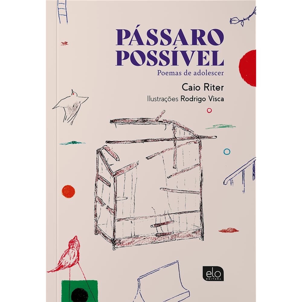 Pássaro possível