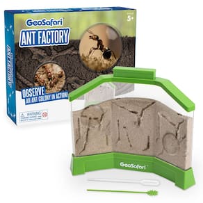 Ant Factory Educational Insights GeoSafari com areia e formigas vivas