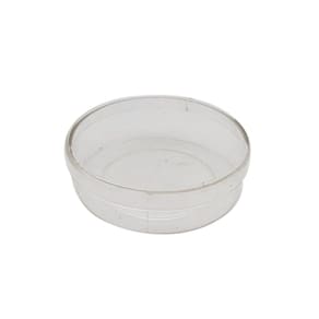 Lembrancinha Latinha Cristal 10 Un