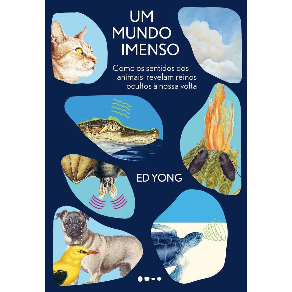 Um Mundo Imenso - Como os Sentidos Dos Animais Revelam Reinos Ocultos à Nossa Volta