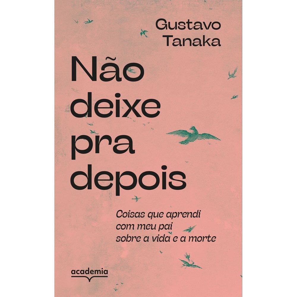 Não Deixe Pra Depois - Coisas Que Aprendi Com Meu Pai Sobre a Vida e a Morte