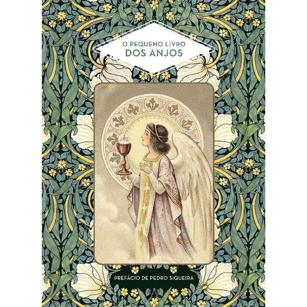 O Pequeno Livro Dos Anjos