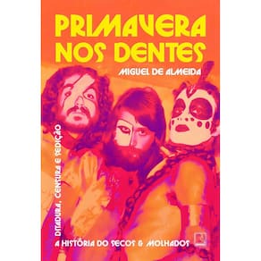 Primavera Nos Dentes - A História do Secos & Molhados - Ditadura, Censura e Sedição