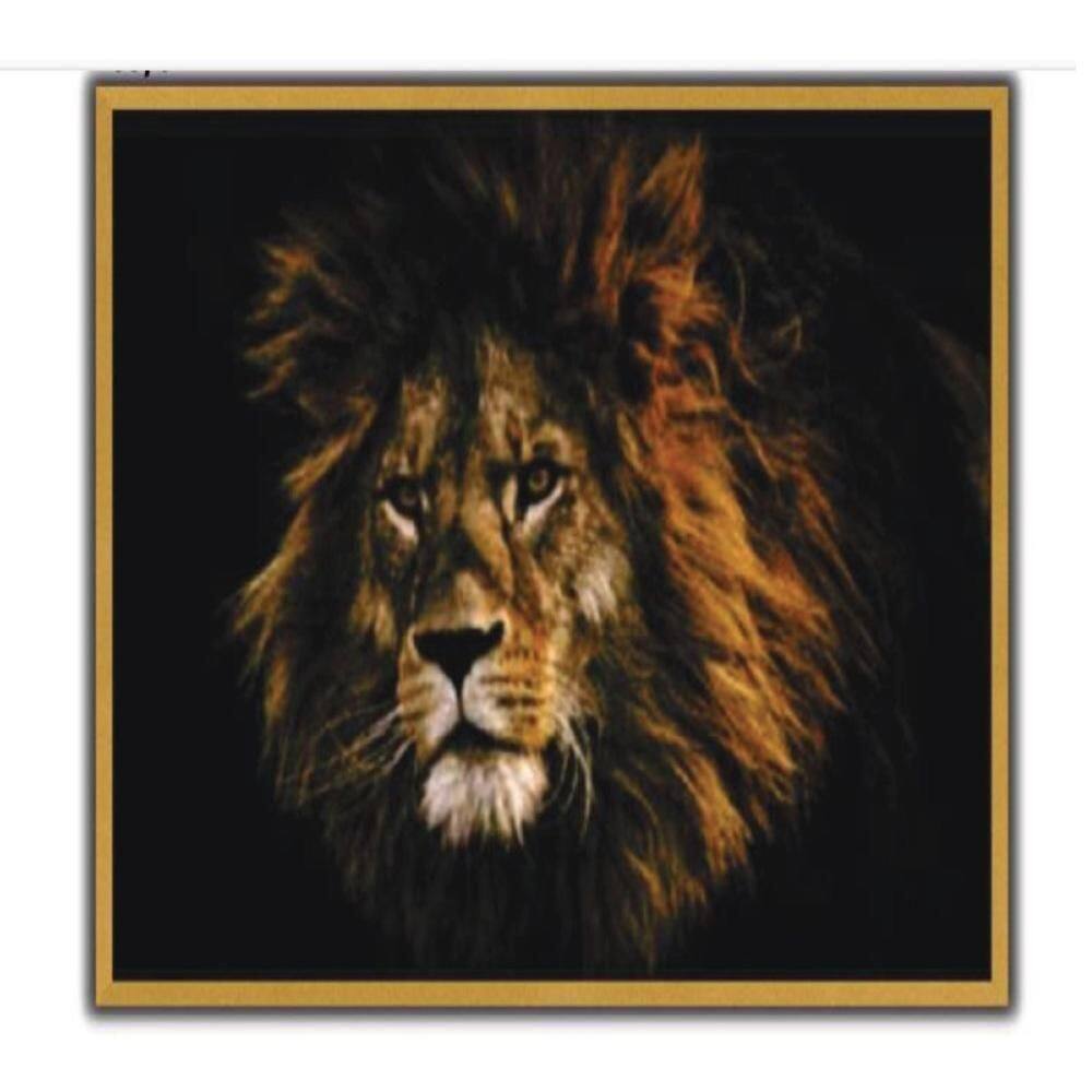 Quadro Leao Realista Africana Motivacao Grande 70cm Dourado Moldura Sala Consultorio Escritorio