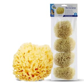 Pacote com 4 banheiras de lã natural Sea Sponge Baby Buddy para recém-nascidos
