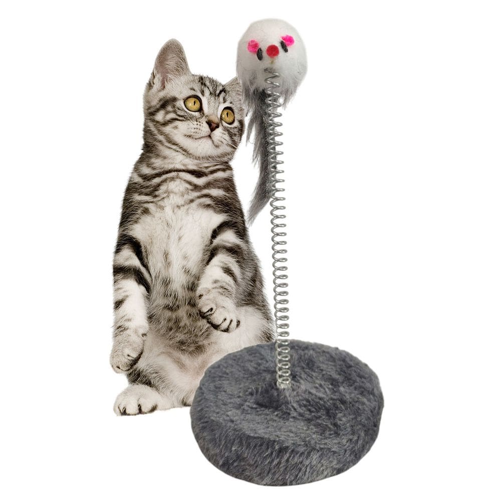 Arranhador Gato Pet Felino Mola Ratinho Guizo Animal de Estimaçao Brinquedo Interativo Entretenimento Lazer Diversao