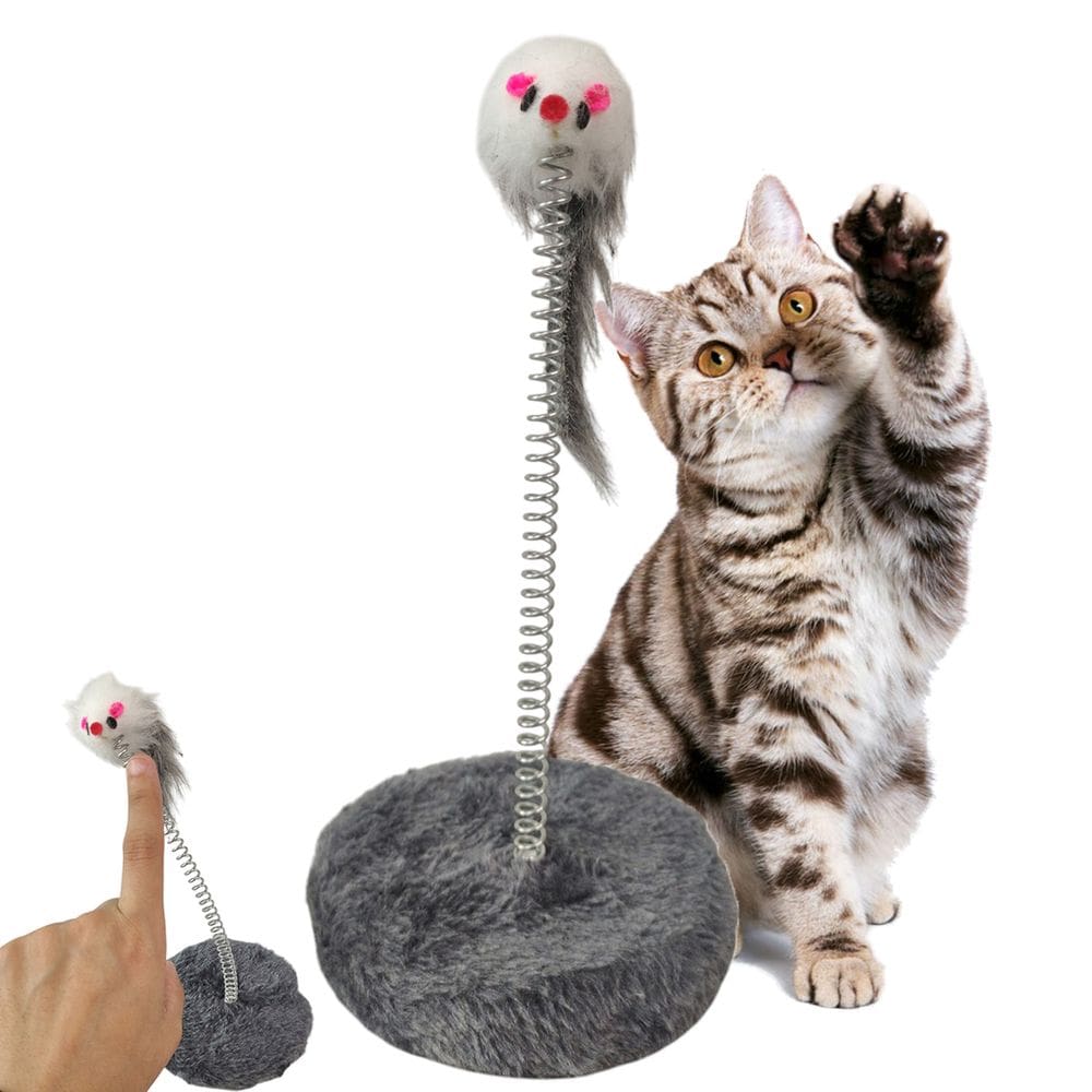 Arranhador Gato Pet Ratinho Guizo Mola Brinquedo Interativo Felino Animal de Estimaçao Lazer Diversao Entretenimento