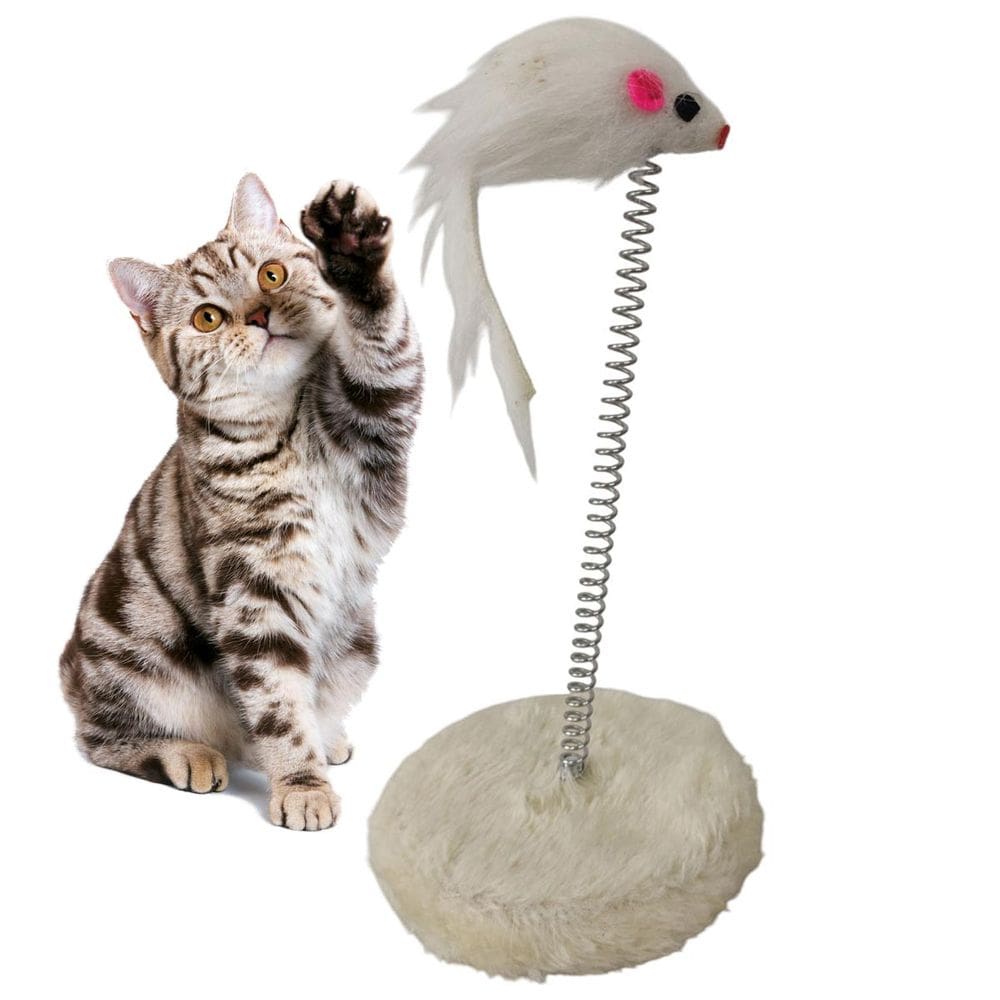 Arranhador Gato Pet Mola Ratinho Guizo Felino Animal de Estimaçao Brinquedo Interativo Lazer Diversao Entretenimento