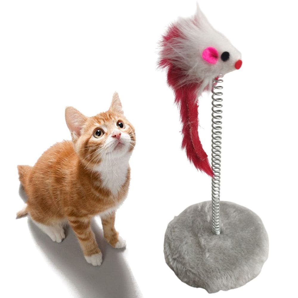 Arranhador Pet Gato Ratinho Guizo Mola Felino Pelucia Animal de Estimaçao Brinquedo Interativo Lazer Diversao Entretenimento