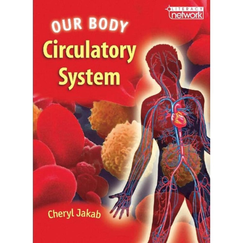 Our Body
