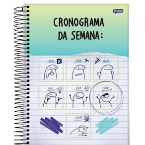 Caderno Universitário 80 Folhas Flork Capa 1 - Jandaia