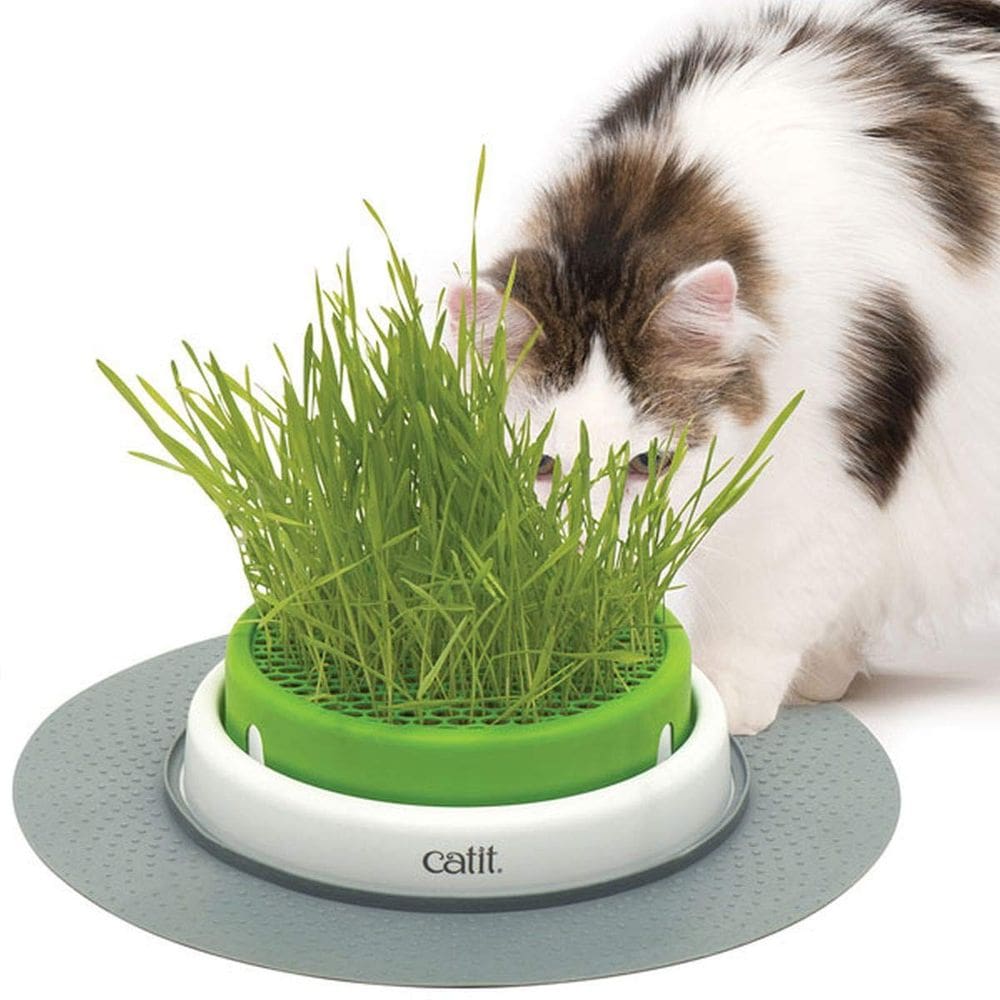 Brinquedos interativos para gatos Catit Senses 2.0 Cat Grass Planter