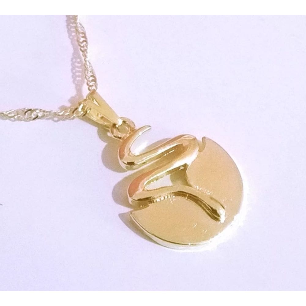 Colar Gargantilha Biólogo Biologia Folheado Ouro 18k