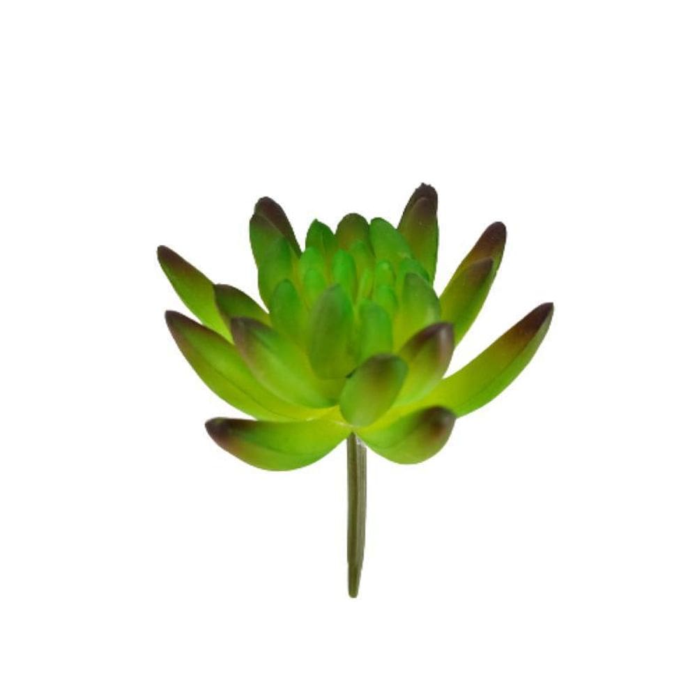 Folhagem Suculenta Hookeril 9X7X7Cm Planta Artificial Decor