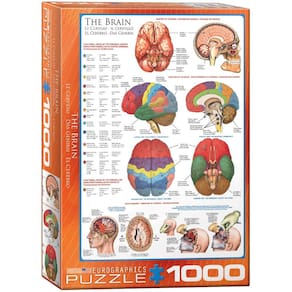 Puzzle EuroGraphics Human Body The Brain 1000 Pieces