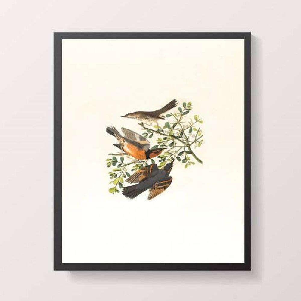 Quadro Passarinhos 24X18Cm