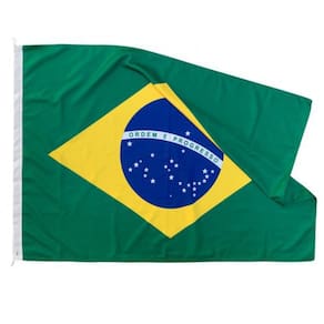Bandeira Brasil Oficial 22x33cm Estampada Poliéster