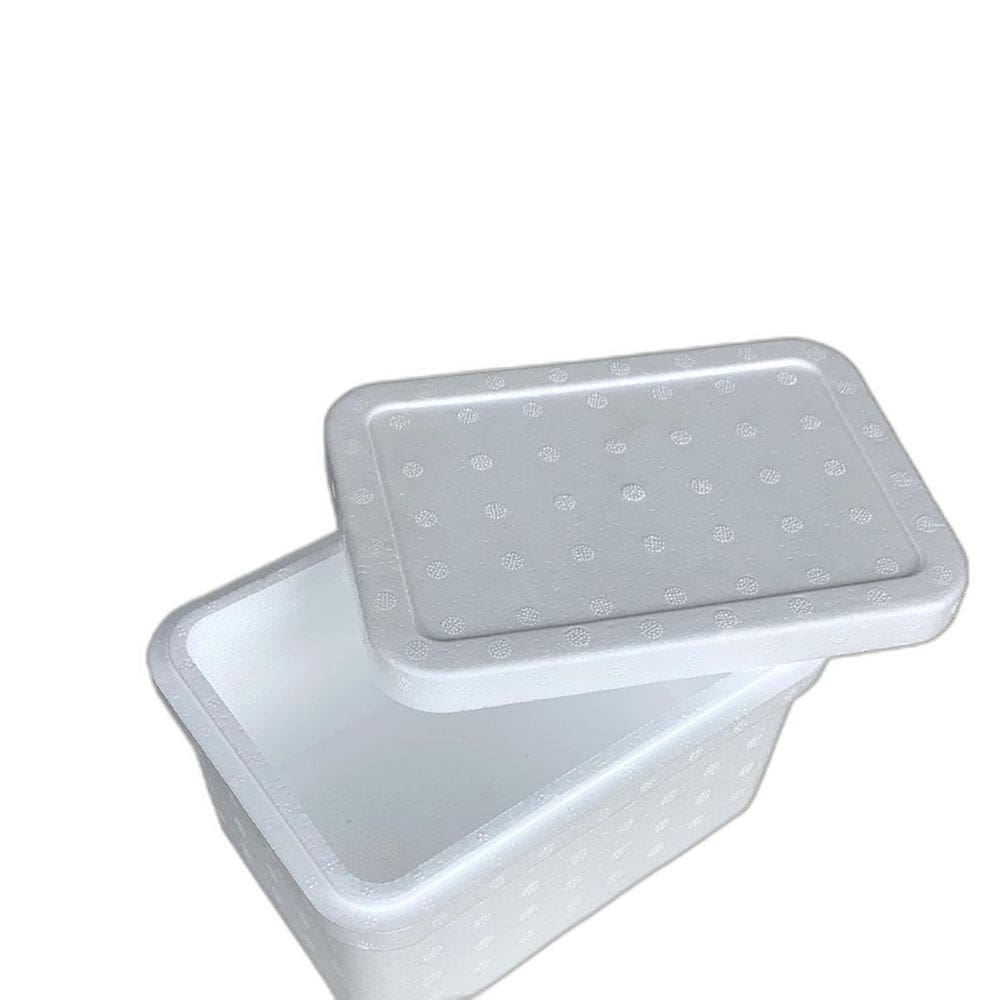 Kit C/10 Caixa Térmica Isopor Sorvete Doces 20,5X12,5Cm