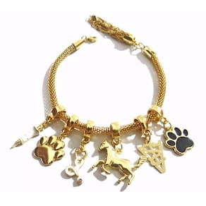 Pulseira Profissão Veterinária Folheada A Ouro 18k