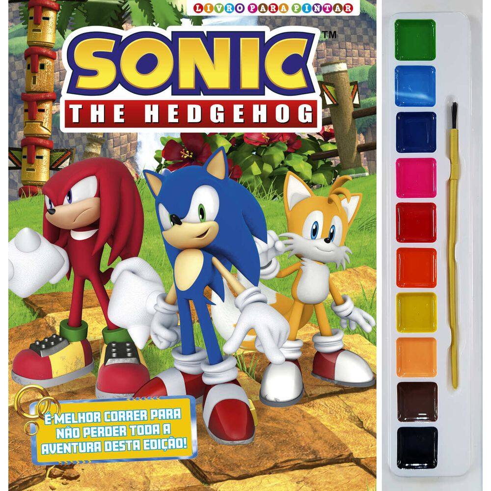Sonic Livro para Pintar com Aquarela