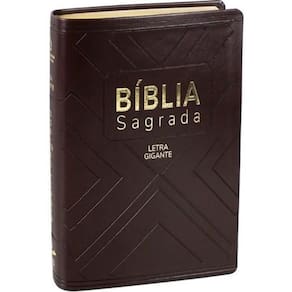 Livro Bíblia Sagrada - Naa - Marrom Com Índice - Média Lgig