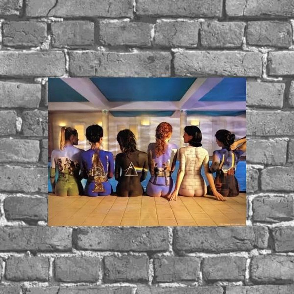 Placa Decorativa Pink Floyd Mulheres Nuas 18X27Cm