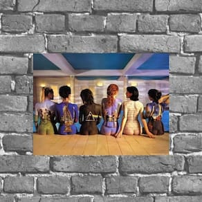 Placa Decorativa Pink Floyd Mulheres Nuas 18X27Cm