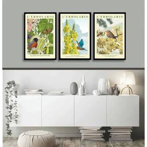 Kit 3 Quadros Passarinhos Flores Espécies 45X34Cm - Vidro