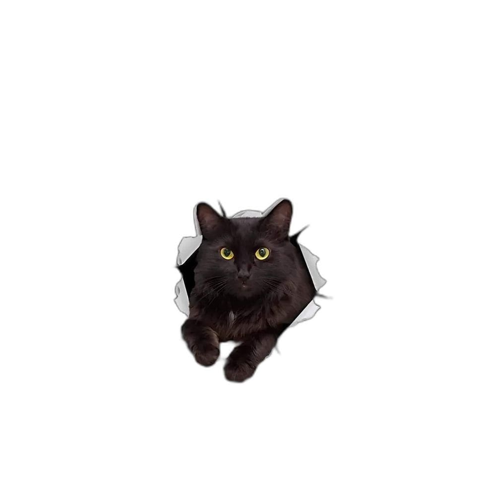 Adesivo Para Carro Gato Preto Mod03