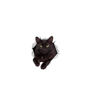 Adesivo Para Carro Gato Preto Mod03