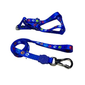 Coleira Peitoral Cães Super Premium Seda 15 Mm - Azul Nº 4