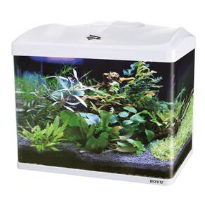 Aquario Boyu Jad Ec-600 66 Litros Tampa Branca - 110V