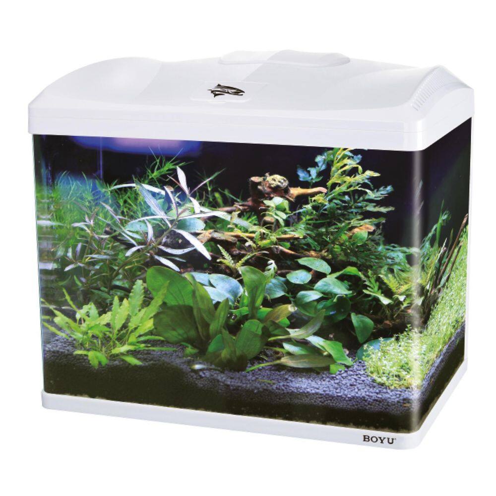 Aquario Boyu Jad Ec-600 66 Litros Tampa Branca - 110V