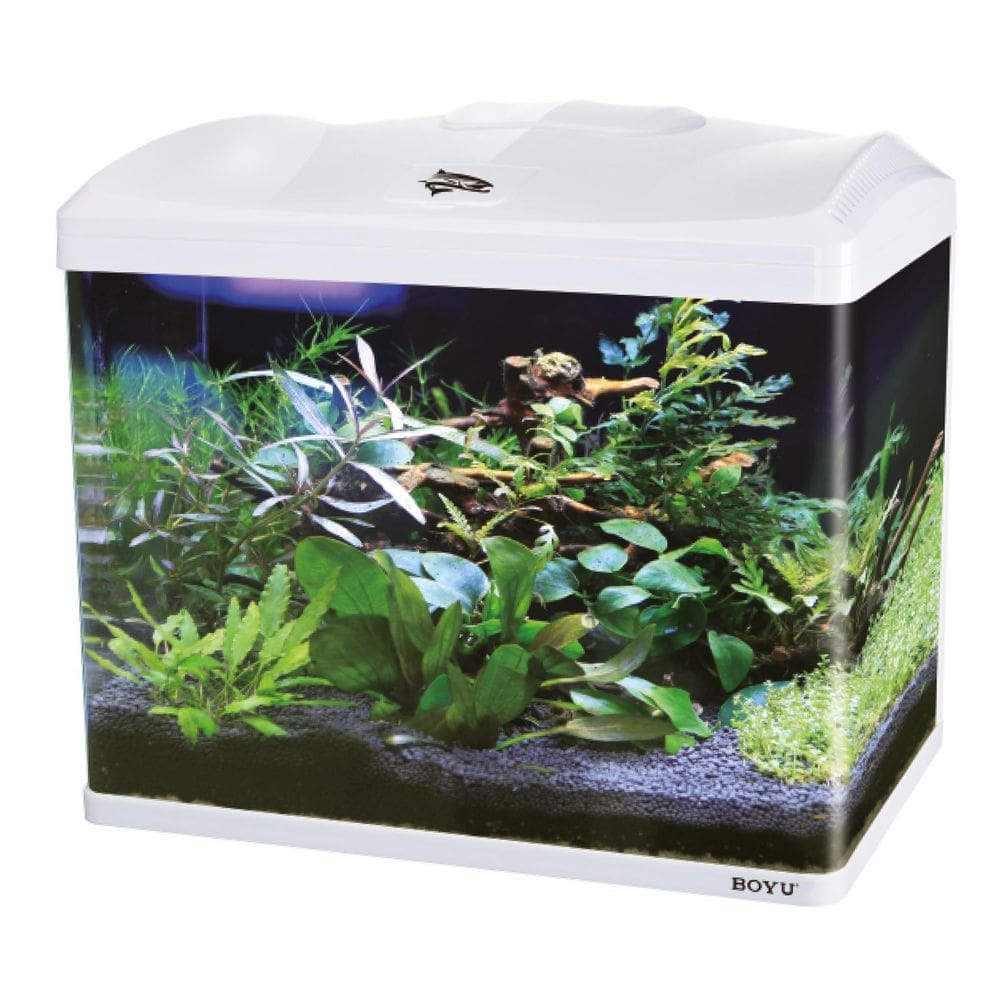 Aquario Boyu Jad Ec-600 66 Litros Tampa Branca - 110V