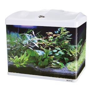 Aquario Boyu Jad Ec-600 66 Litros Tampa Branca - 110V