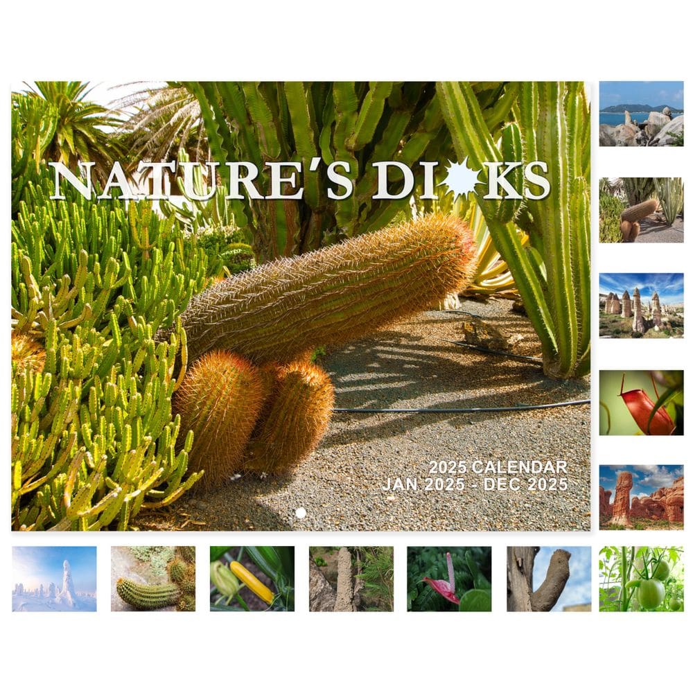 Calendário Chambom 2025 Wall 11x17” com imagens Nature`s Di*ks