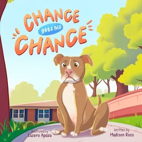 Book Chance Gets His Chance