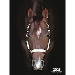 Planner publicou de forma independente 2025 Horse Jan-Dez Monthly G